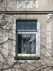 Nedderfeldstr./ Ottenstr.